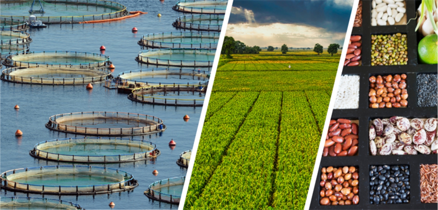 Çiftçiye Destek Ödemesi