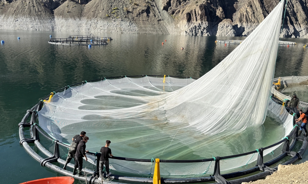 Su Ürünleri İhracat Rekoru