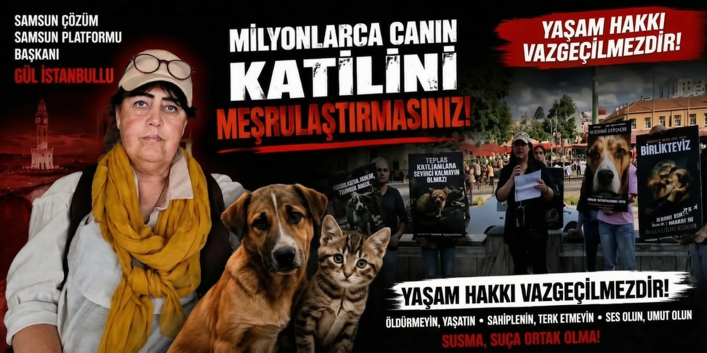 Yaşam Hakkı Çağrısı